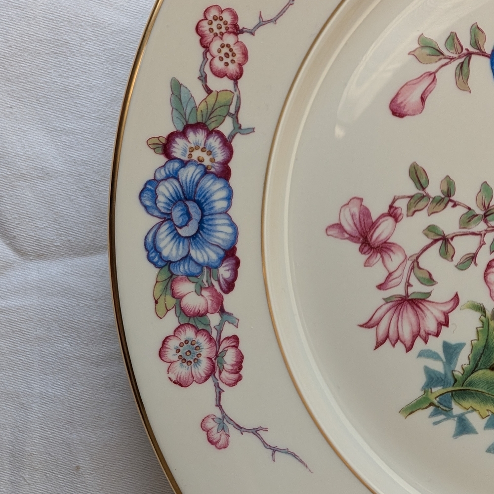 Vintage Rosenthal New Phoenix Porcelain Multicolor Bird Floral Dinner Plate - Picture 4 of 10